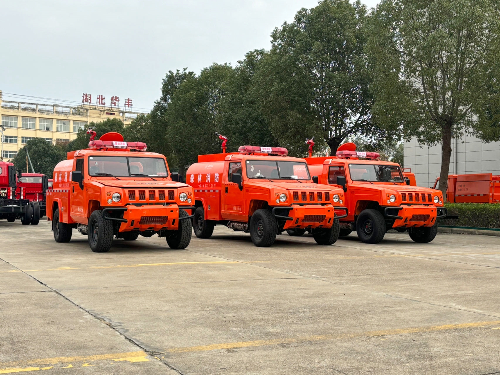 ��������2�����(q��)ɭ�ֹ�ˮ����܇